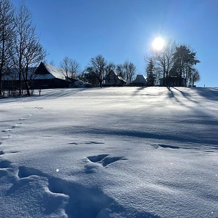CzerwienneTarasowka U Zajaca住宿加早餐旅馆 外观 照片