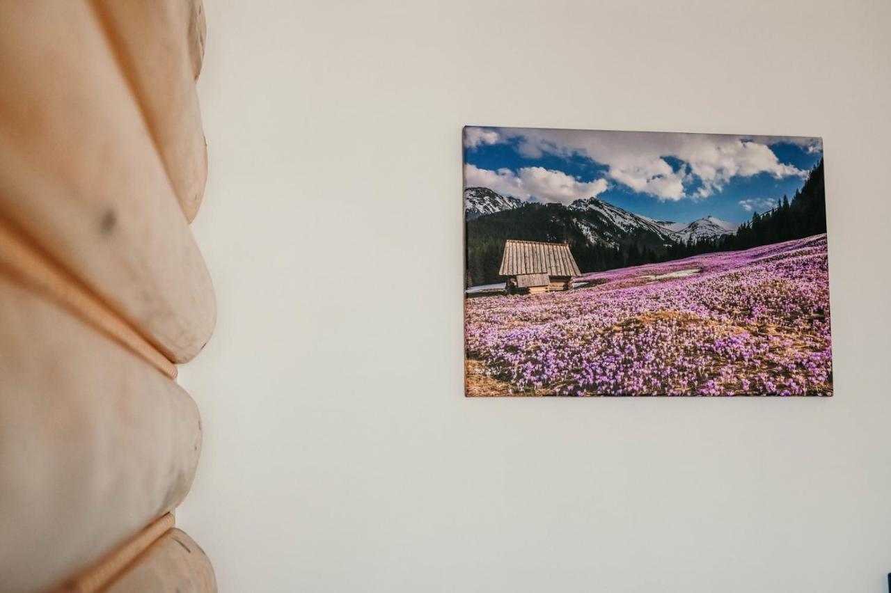 CzerwienneTarasowka U Zajaca住宿加早餐旅馆 外观 照片